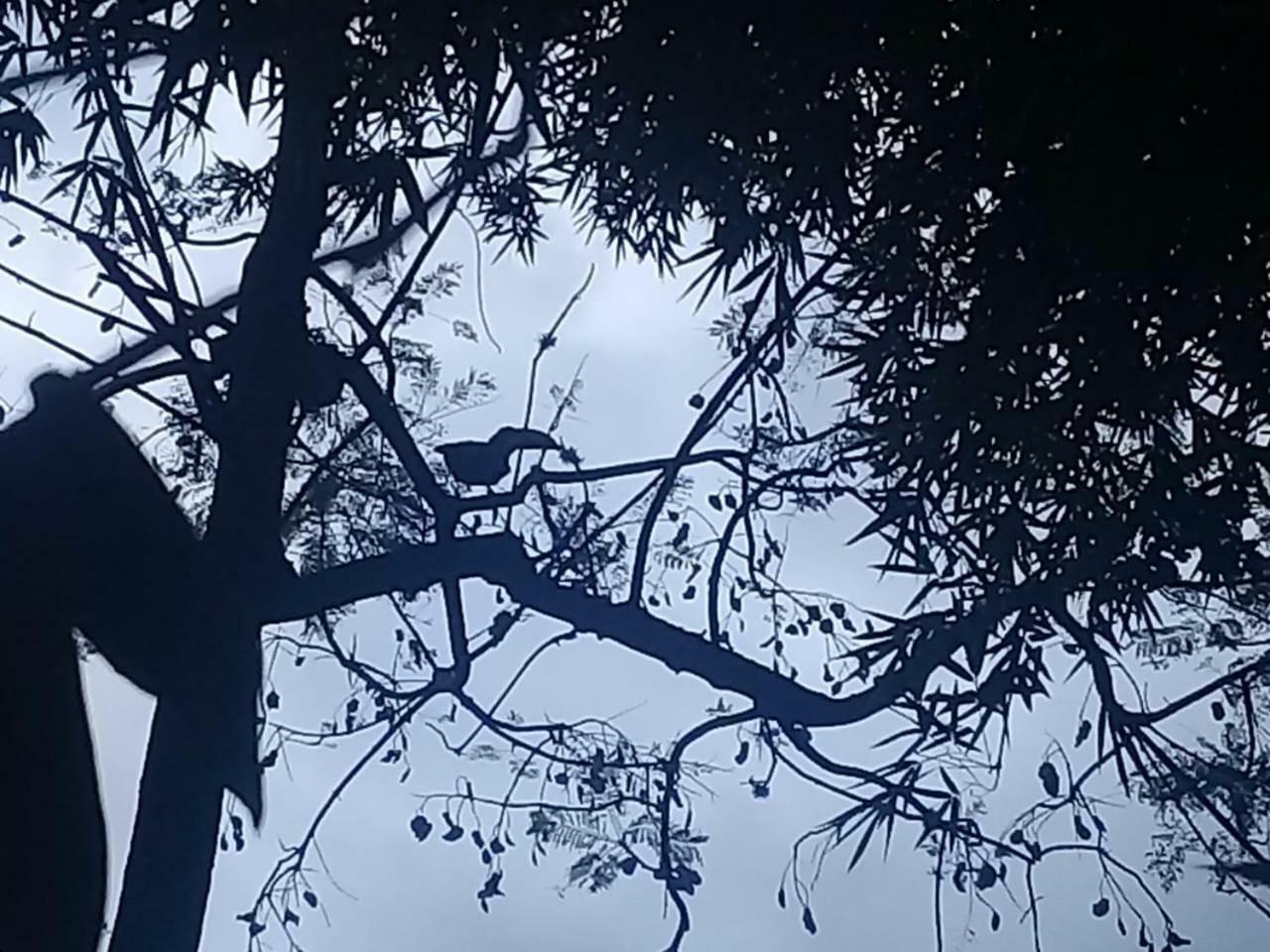 圣萨尔瓦多德朱 Terrazas Del Coya旅舍 外观 照片